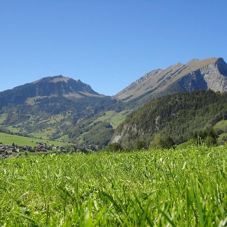 Haus Alpina Hotel Au (Vorarlberg) Buitenkant foto