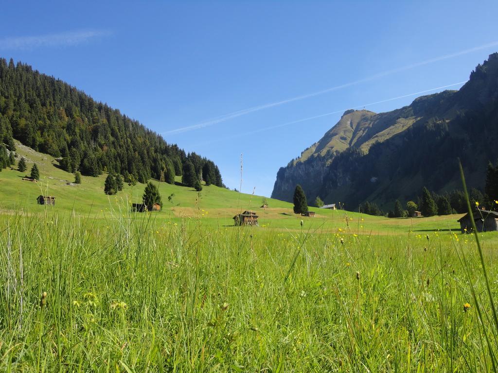 Haus Alpina Hotel Au (Vorarlberg) Buitenkant foto
