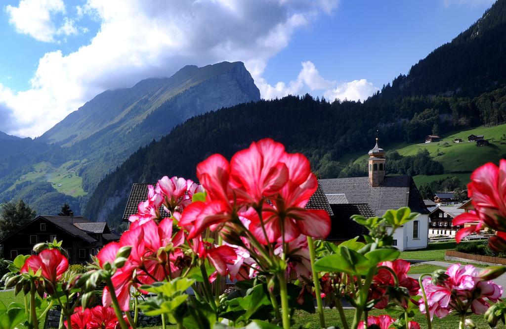 Haus Alpina Hotel Au (Vorarlberg) Buitenkant foto