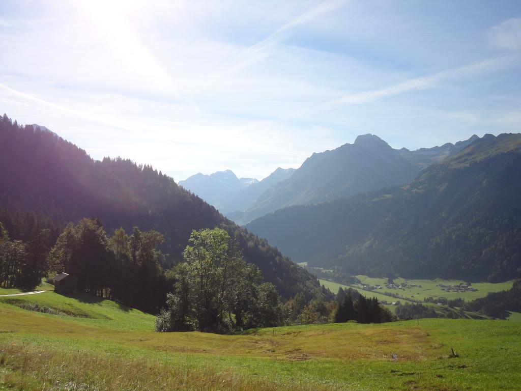 Haus Alpina Hotel Au (Vorarlberg) Buitenkant foto