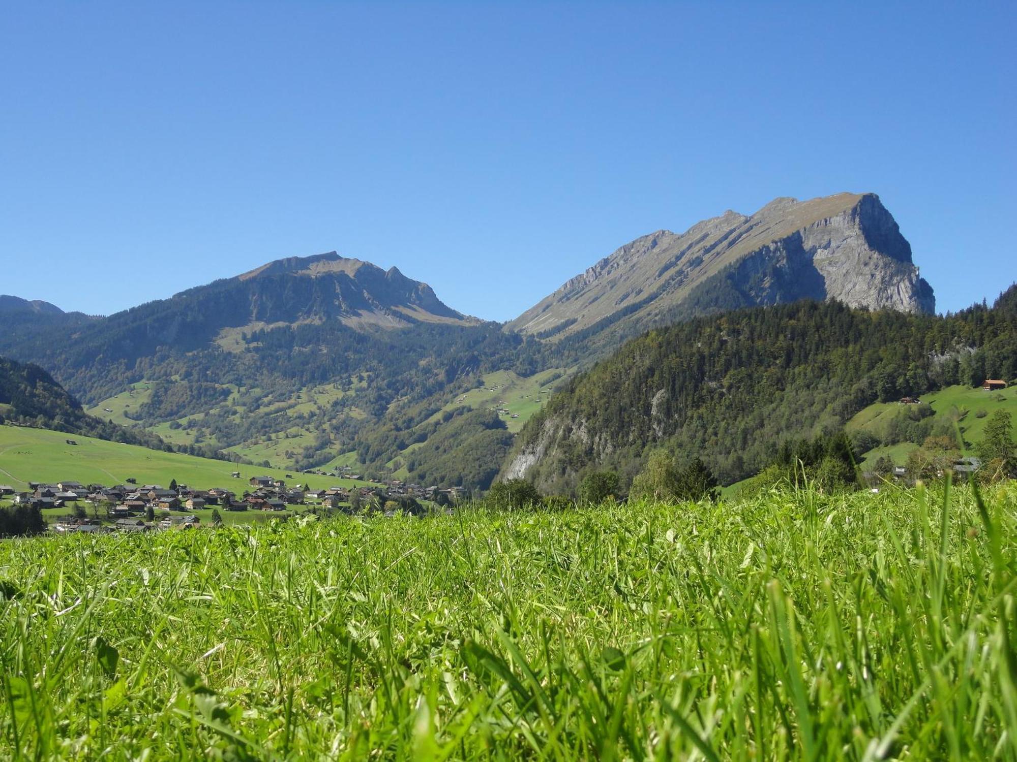 Haus Alpina Hotel Au (Vorarlberg) Buitenkant foto